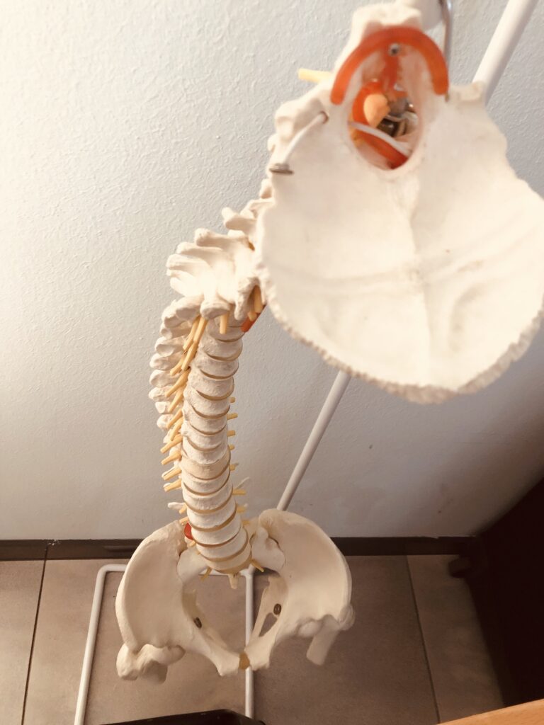 Traducción e interpretación para la industria de la salud