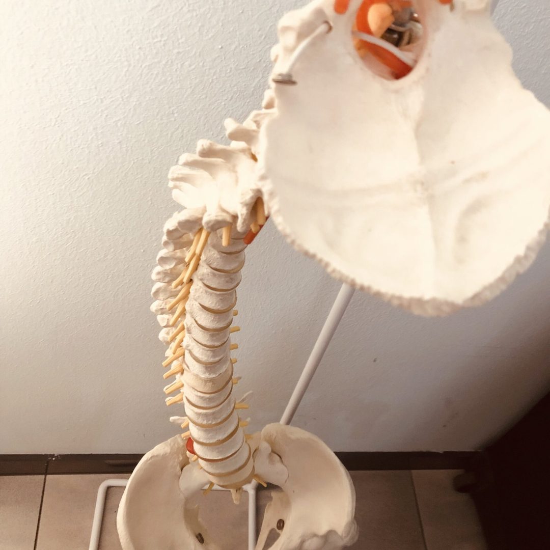 Traducción e interpretación para la industria de la salud