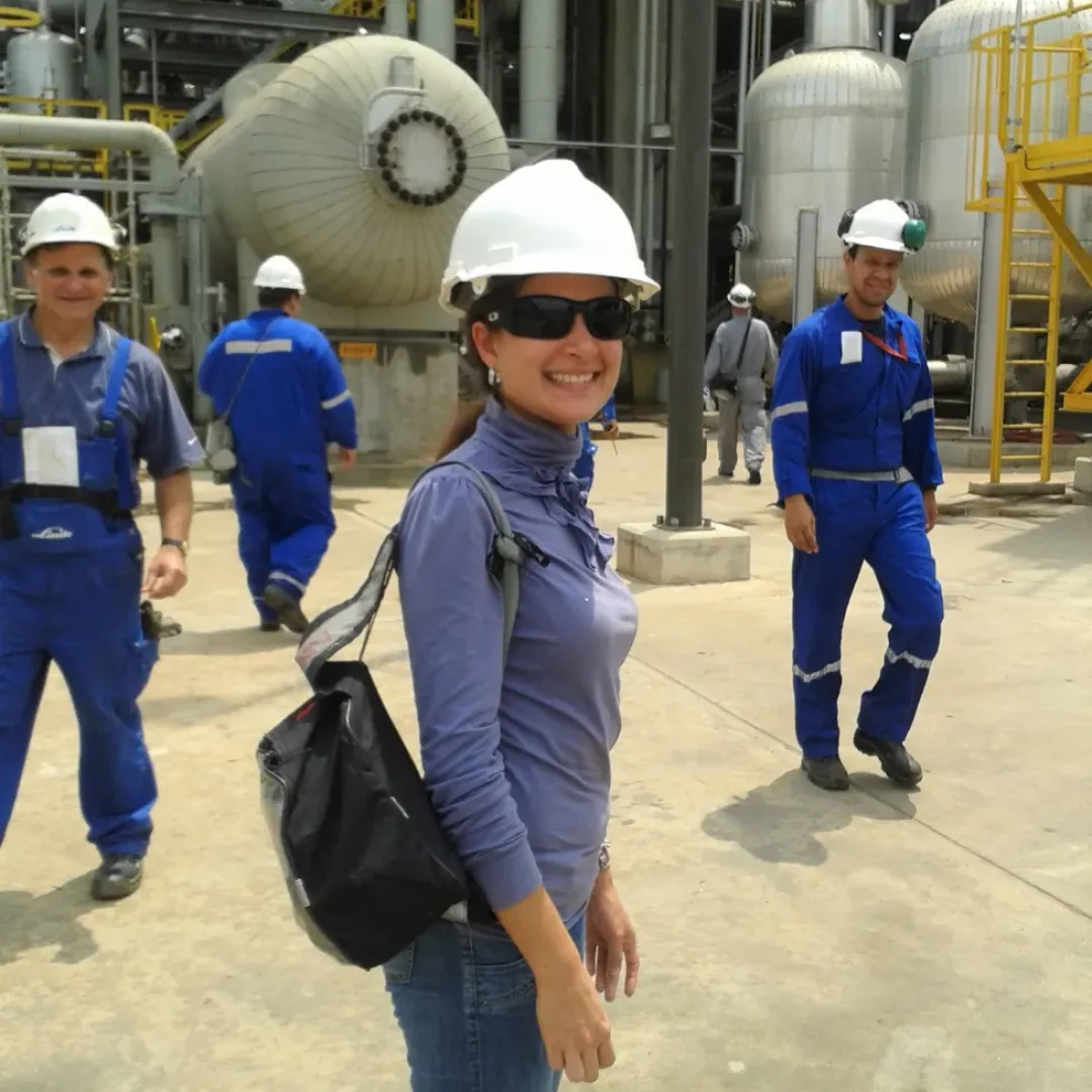 Interpretación técnica petroquimica | petróleo y gas